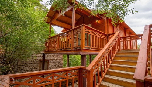 Superior Tree House