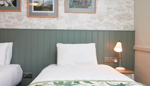 Standard Twin Room