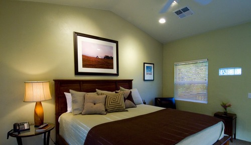 Room, 1 King Bed, Mountain View