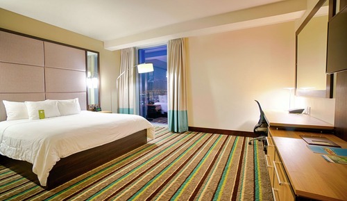 Basic Room, 1 King Bed, Accessible, Non Smoking (Roll-in Shower)