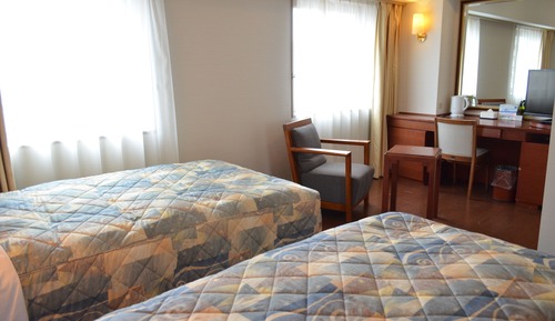 [2 people use] Deluxe Twin Room, City view, Non Smoking