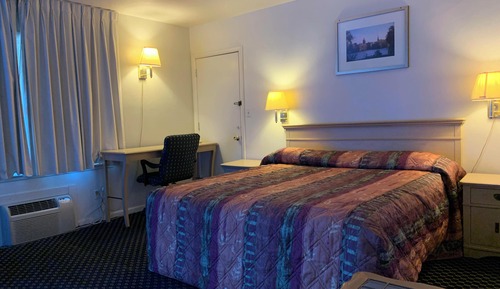 Basic Single Room
