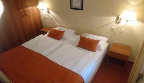 Basic Double Room