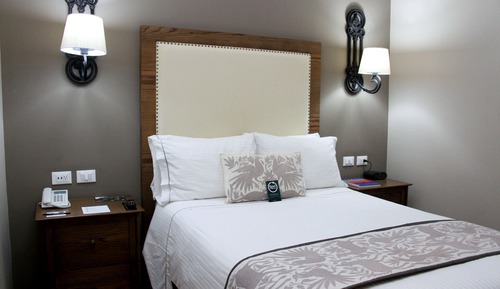 Standard Room, 1 Double Bed