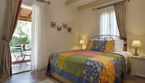 Standard Room, Vineyard View