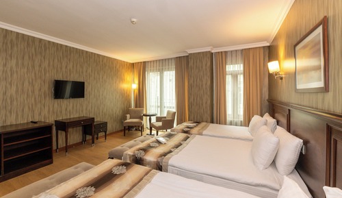 Standard Triple Room, City View