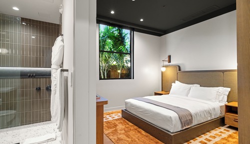 Basic Double Room