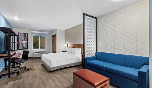 Room, 1 King Bed, Accessible, Non Smoking (Efficiency)
