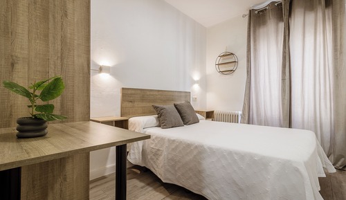 Basic Double Room