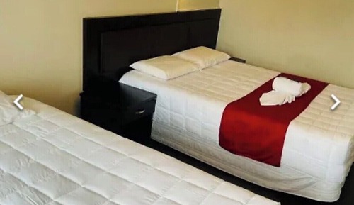 Family Double or Twin Room