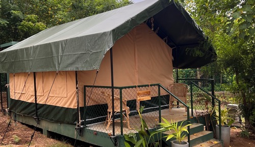 Superior Tent, 1 King Bed, Non Smoking, Garden View