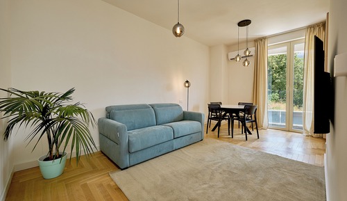 Luxury Apartment