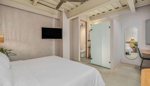 Studio Suite (204)