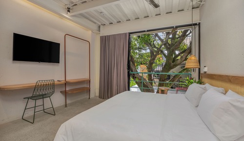 Studio Suite (207)