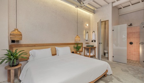 Studio Suite (301)