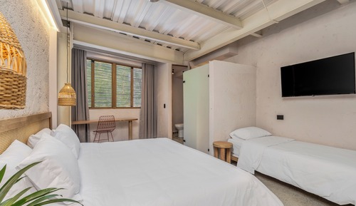 Studio Suite (202)