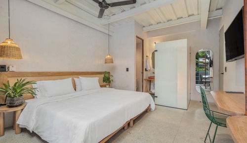 Studio Suite (208)