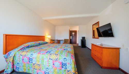 Room, 1 King Bed