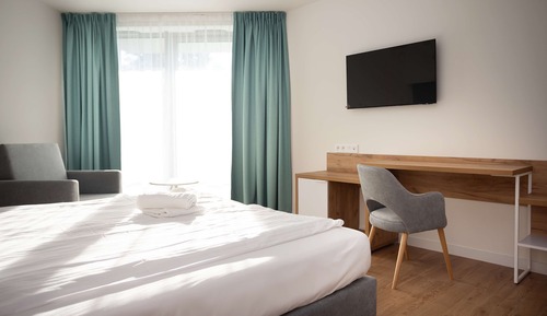 Room, 1 King Bed
