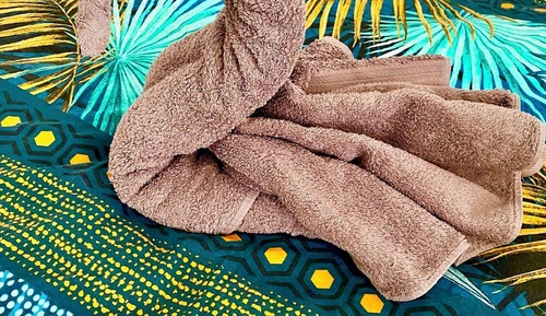 Studio Suite, Kitchen, Garden View