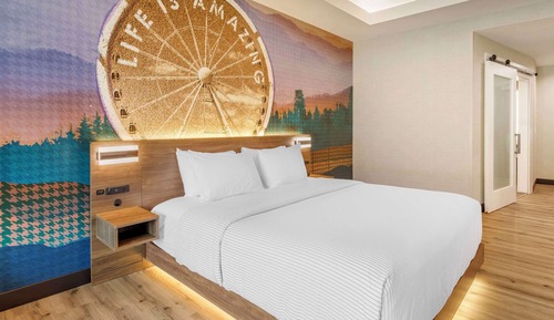Room, 1 King Bed, View