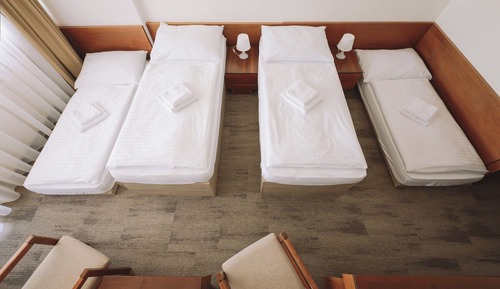 Economy Room, Multiple Beds, Non Smoking, Mountain View