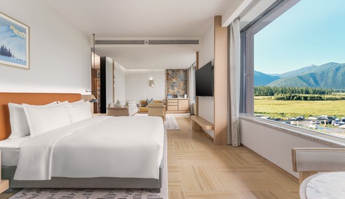 Suite, 1 King Bed