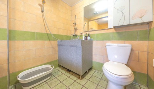 Basic Room, 1 Bedroom (room 102ho)