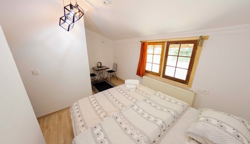 Basic Room, Garden View