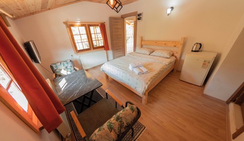 Basic Room, Garden View