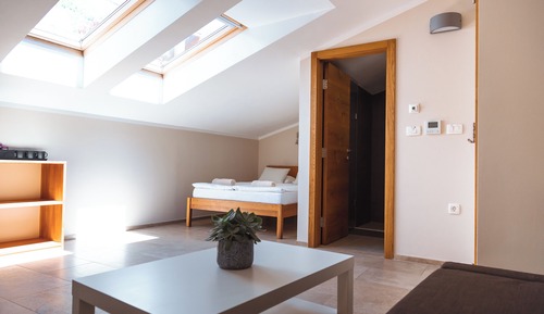 Basic Triple Room