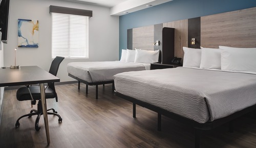 Suite, Accessible, Kitchen