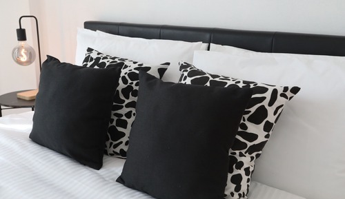 Luxury Apartment
