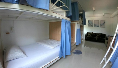 Shared Dormitory, Mixed Dorm