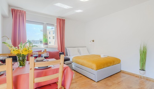 Basic Apartment