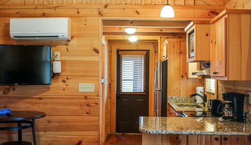 Cabin, 1 Queen Bed with Sofa bed