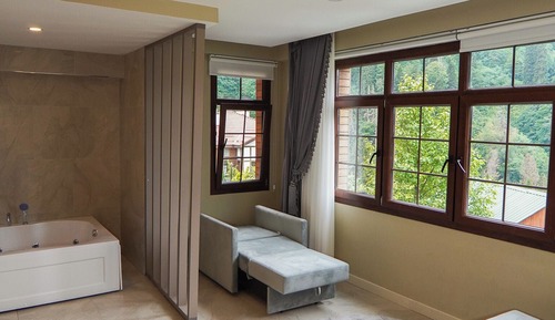 Deluxe Double Room Single Use, Mountain View