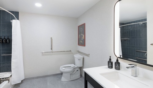 Standard Room, 1 King Bed, Accessible Bathtub (Communications, Mobility)