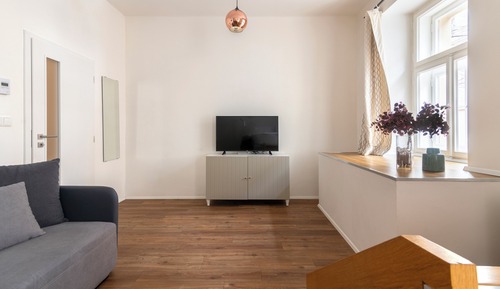 Comfort Apartment