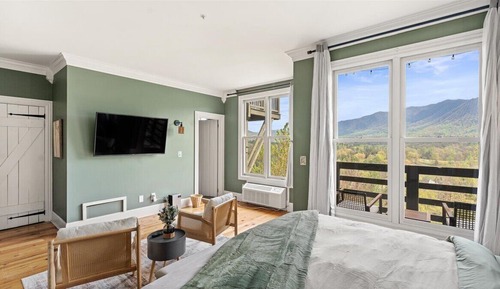 Elite Studio Suite, 1 King Bed with Sofa bed, Mountain View