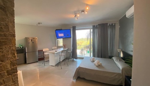 Deluxe Apartment, Pool View