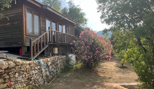 Basic Bungalow, Sea View