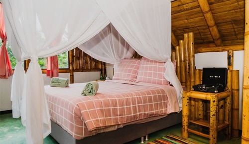 Family Cabin, 2 Queen Beds