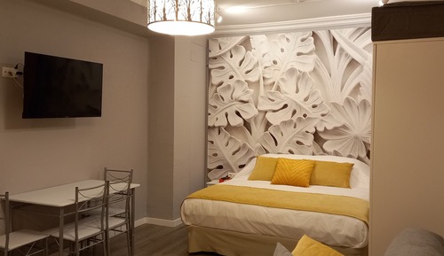 Family Studio Suite