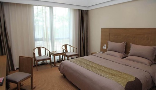Basic Single Room, 1 Bedroom