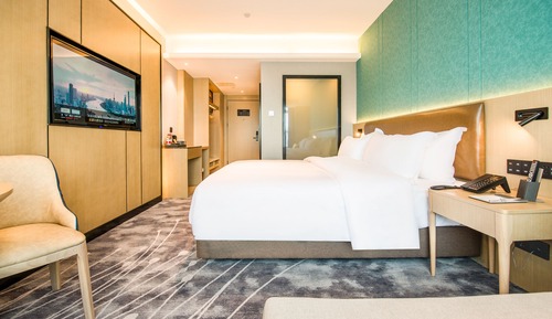 Comfort Single Room
