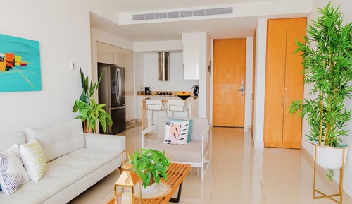 Basic Apartment