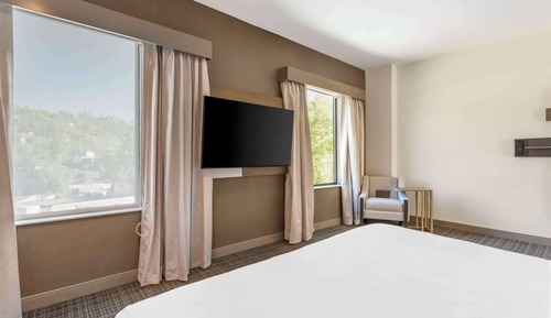 Suite (One Bed King)