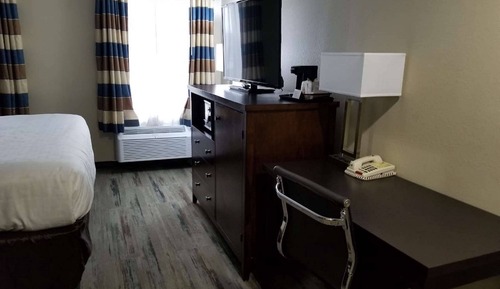 Standard Room, 1 Queen Bed, Accessible, Refrigerator & Microwave (Walk-in Shower)