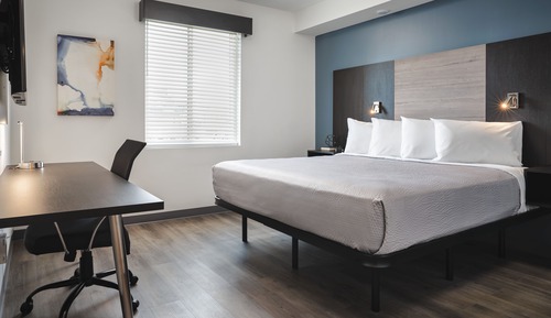 Standard Suite, Accessible, Kitchen